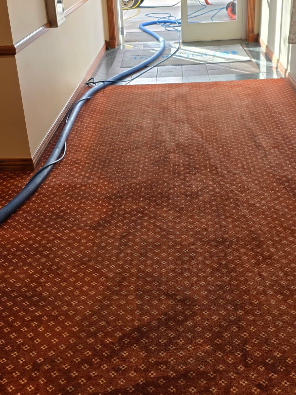 Gallery photos for Commercial Carpet Cleaning Success – Before and After: Image #1