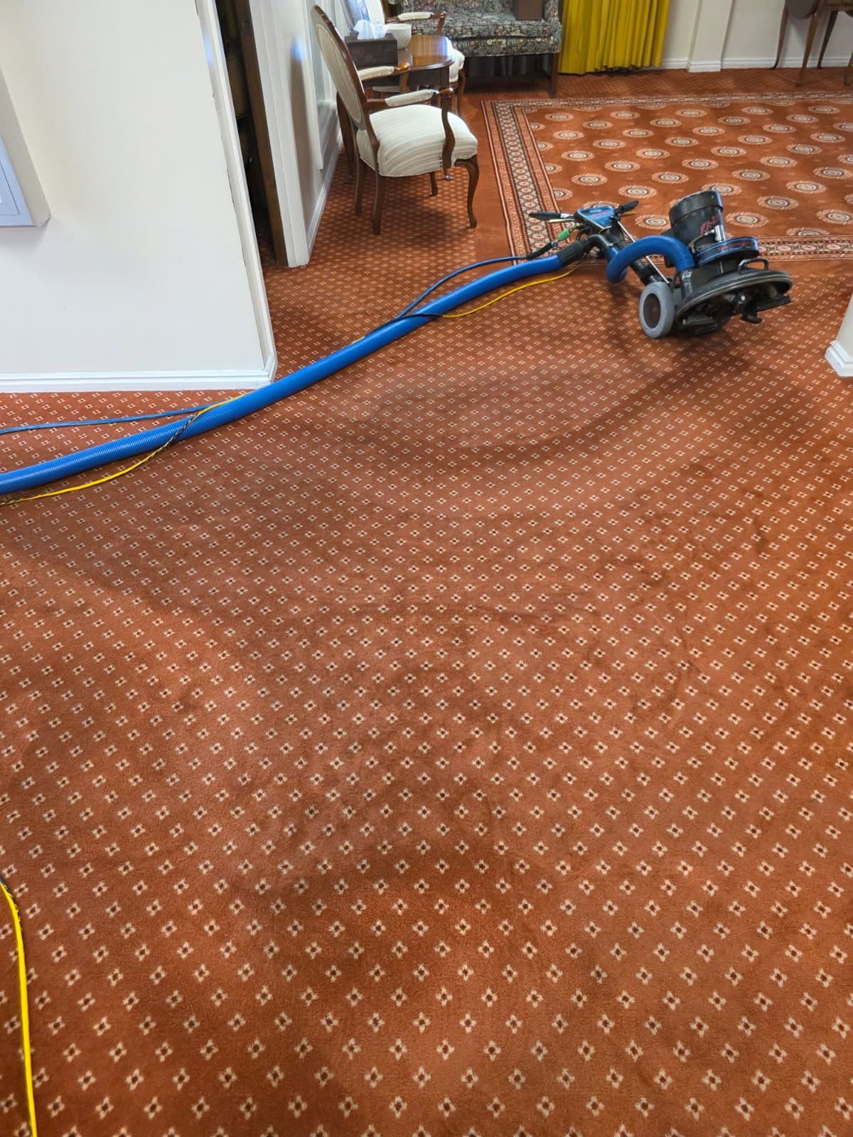 Efficient Commercial Carpet Cleaning Revitalizes Spaces image